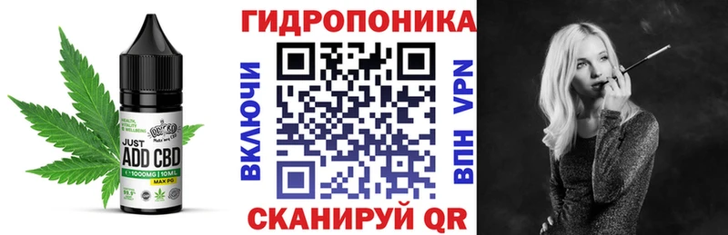 Canna-Cookies марихуана  нарко площадка состав  Северск  МЕГА зеркало 