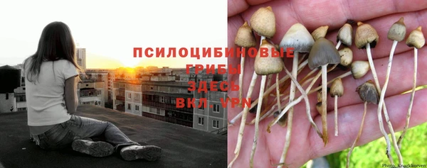альфа пвп Баксан