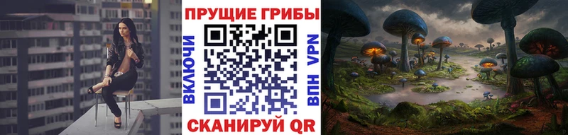 Галлюциногенные грибы Magic Shrooms  где продают наркотики  кракен ССЫЛКА  Северск 